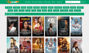 9xmovies and 9xfilms WordPress Theme all php version supported